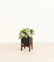 Load image into Gallery viewer, Stone Black stand:walnut
