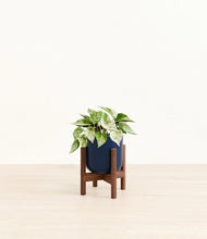 Load image into Gallery viewer, Twilight Blue stand:walnut
