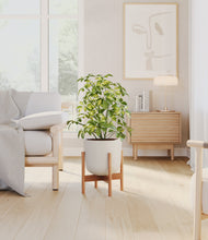 Charger l'image dans la galerie, Natural Bamboo stand:light
