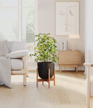 Charger l'image dans la galerie, Stone Black stand:light
