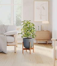 Charger l'image dans la galerie, Iron Gray stand:light
