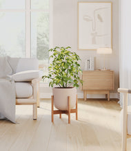 Charger l'image dans la galerie, Sandy Pink stand:light
