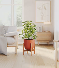 Charger l'image dans la galerie, Earth Red stand:light
