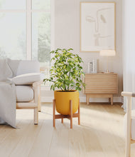 Charger l'image dans la galerie, Sunset Orange stand:light

