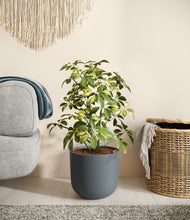 Charger l'image dans la galerie, Iron Gray

