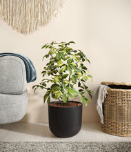 Charger l'image dans la galerie, Stone Black
