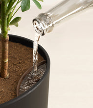 Charger l'image dans la galerie, Stone Black stand:all
