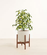 Charger l'image dans la galerie, Natural Bamboo stand:dark
