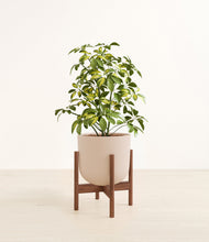Charger l'image dans la galerie, Sandy Pink stand:dark
