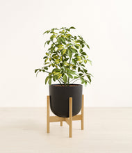 Charger l'image dans la galerie, Stone Black stand:light
