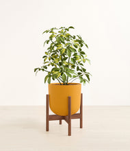 Charger l'image dans la galerie, Sunset Orange stand:dark
