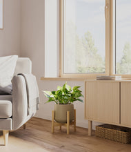 Load image into Gallery viewer, Olive stand:bamboo
