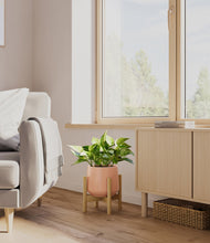 Load image into Gallery viewer, Calm Rose stand:bamboo
