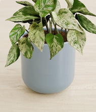 Load image into Gallery viewer, Misty Blue stand:all
