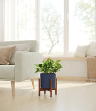 Load image into Gallery viewer, Deep Navy stand:walnut
