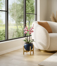 Load image into Gallery viewer, Deep Navy stand:bamboo
