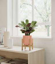 Load image into Gallery viewer, Calm Rose stand:bamboo
