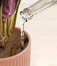 Load image into Gallery viewer, Striped Rose Pink stand:all
