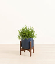 Lade das Bild in den Galerie-Viewer, Deep Navy stand:walnut
