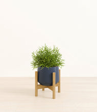 Load image into Gallery viewer, Deep Navy stand:bamboo
