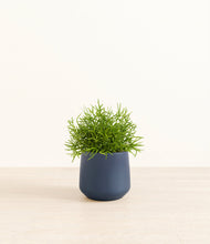 Lade das Bild in den Galerie-Viewer, Deep Navy*****Profile
