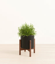 Load image into Gallery viewer, Black stand:walnut
