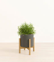 Load image into Gallery viewer, Dark Olive stand:bamboo
