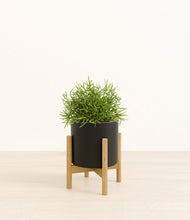 Load image into Gallery viewer, Black stand:bamboo
