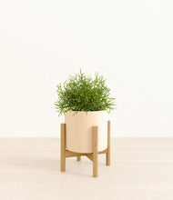 Load image into Gallery viewer, Cream stand:bamboo
