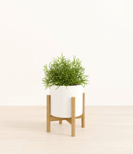 Load image into Gallery viewer, White stand:bamboo
