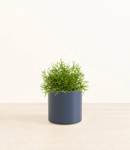 Load image into Gallery viewer, Deep Navy*****Profile
