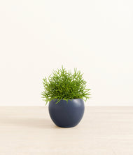 Load image into Gallery viewer, Deep Navy*****Profile
