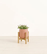 Load image into Gallery viewer, Calm Rose stand:bamboo
