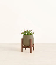 Load image into Gallery viewer, Olive stand:walnut
