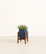 Load image into Gallery viewer, Deep Navy stand:walnut
