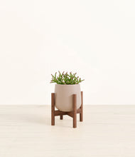 Load image into Gallery viewer, Eternal Gray stand:walnut
