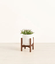 Load image into Gallery viewer, White stand:walnut

