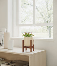 Load image into Gallery viewer, Almond Green stand:walnut
