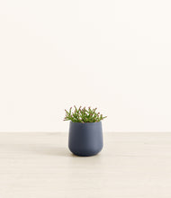 Load image into Gallery viewer, Deep Navy*****Profile
