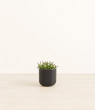 Load image into Gallery viewer, Stone Black*****Profile
