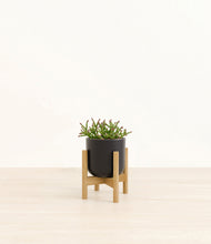 Load image into Gallery viewer, Stone Black stand:bamboo
