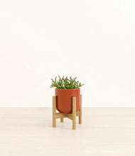 Load image into Gallery viewer, Glossy Red stand:bamboo
