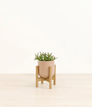 Load image into Gallery viewer, Glossy Pink stand:bamboo
