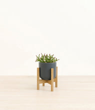 Load image into Gallery viewer, Iron Gray stand:bamboo
