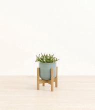 Load image into Gallery viewer, Reactive Aqua stand:bamboo
