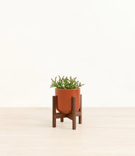 Load image into Gallery viewer, Glossy Red stand:walnut
