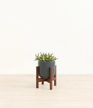 Load image into Gallery viewer, Iron Gray stand:walnut
