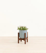 Load image into Gallery viewer, Misty Blue stand:walnut
