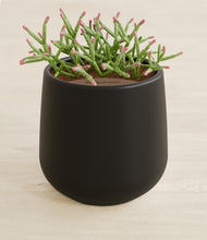 Load image into Gallery viewer, Black stand:all
