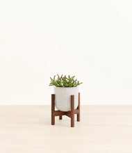 Load image into Gallery viewer, Hammered Ivory stand:walnut
